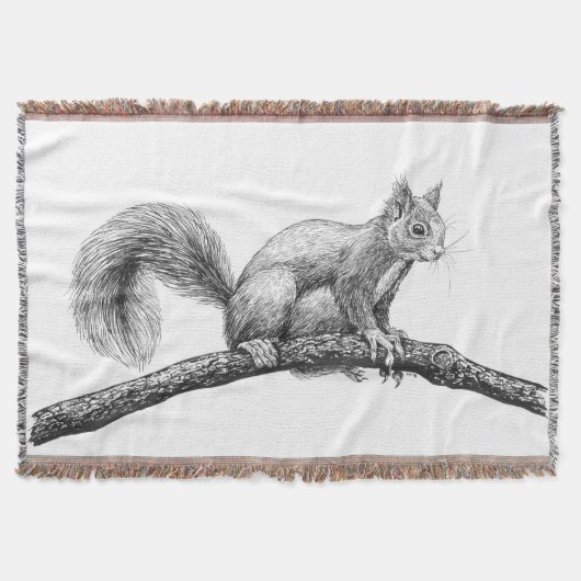 Couverture Dessin d'écureuil (Devant)