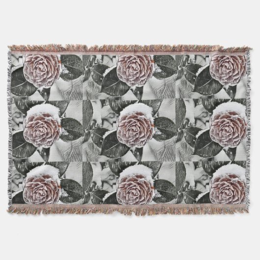 Couverture Dessin Rose de neige congelée (Devant)