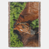 Couverture Deux beaux chevaux de châtaignes au soleil (devant Vertical)