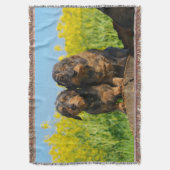 Couverture Deux chiens mignons Dachshund Dackel Portrait Phot (devant Vertical)