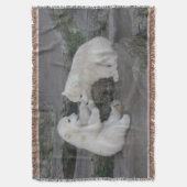 Couverture Deux Cubes Ours Polaires (devant Vertical)