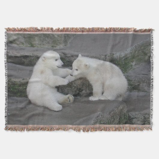 Couverture Deux Cubes Ours Polaires (Devant)