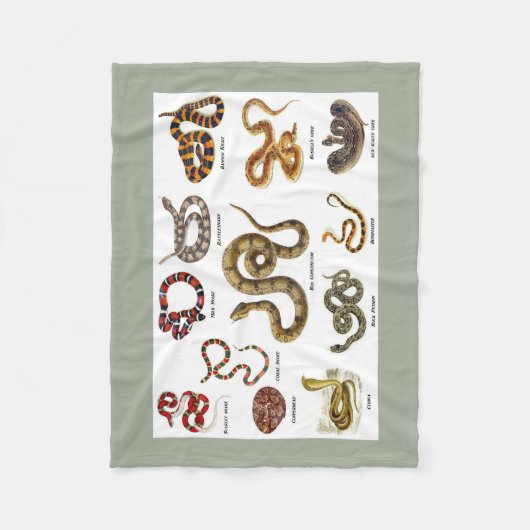 Couverture d'identification de serpent (Devant)