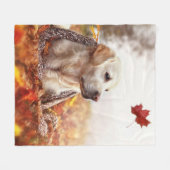 Couverture d'or d'ouatine de laboratoire (Devant (Horizontal))