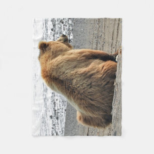 Couverture d'ouatine avec l'ours gris