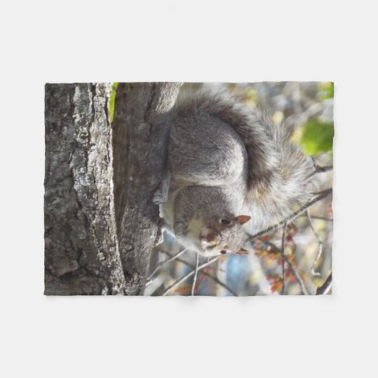 Couverture d'ouatine de branche d'écureuil (Devant (Horizontal))