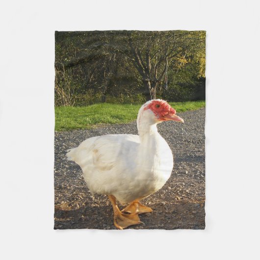 Couverture d'ouatine de canard de Muscovy (Devant)