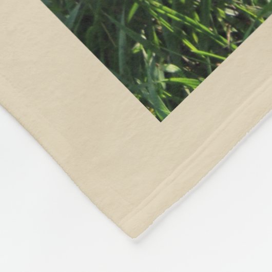 Couverture d'ouatine de carlin (Coin)