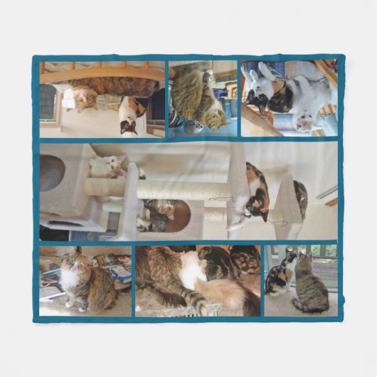 Couverture d'ouatine de chats (Devant (Horizontal))