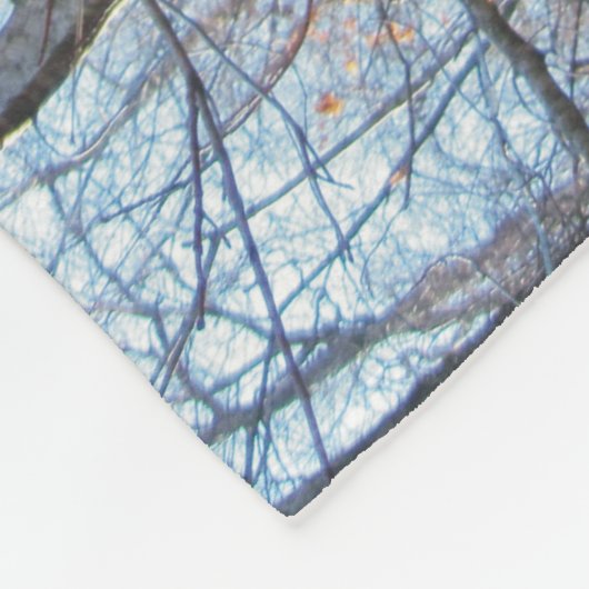 Couverture d'ouatine de Coonhound de marcheur (Coin)