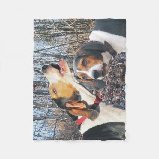 Couverture d'ouatine de Coonhound de marcheur (Devant)