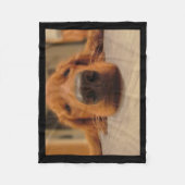 Couverture d'ouatine de golden retriever (Devant)