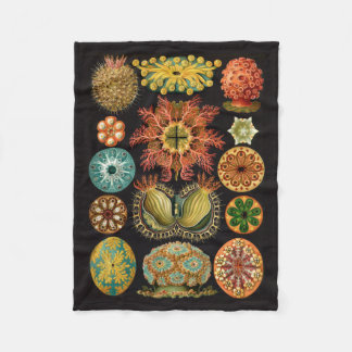 Couverture d'ouatine de Haeckel