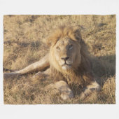 Couverture d'ouatine de lion (Devant (Horizontal))