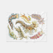 Couverture d'ouatine de Nudibranchia de Haeckel (Devant (Horizontal))