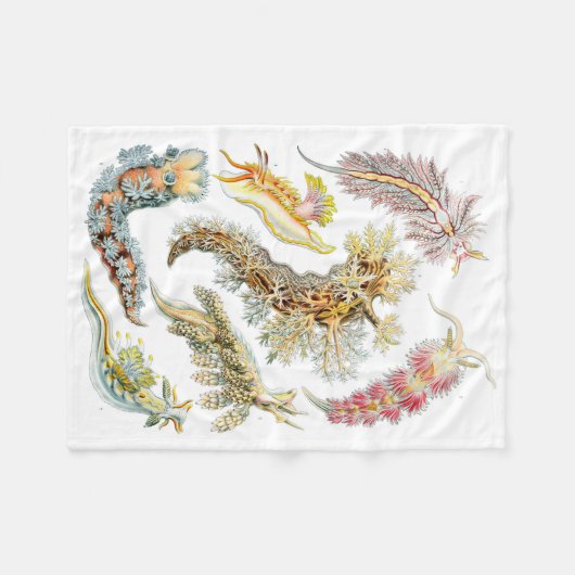 Couverture d'ouatine de Nudibranchia de Haeckel (Devant (Horizontal))