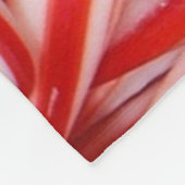 Couverture d'ouatine de sucres de canne (Coin)