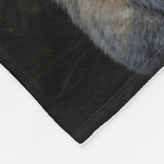 Couverture d'ouatine de tigre (Coin)