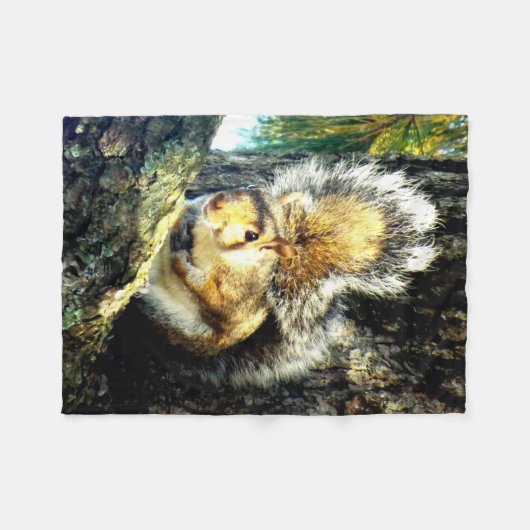 Couverture d'ouatine d'écureuil (Devant (Horizontal))