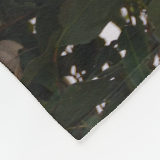 Couverture douce d'ouatine d'ours de koala (Coin)