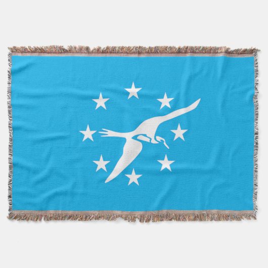 Couverture Drapeau de la ville de Corpus Christi (Devant)