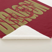 couverture du dragon sherpa (3/4)