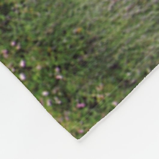 Couverture du phare de 40 Mile Point (Coin)