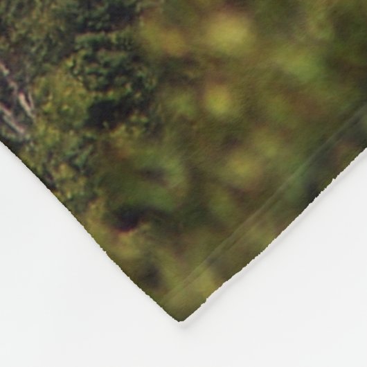 Couverture du phare de Split Rock (Coin)