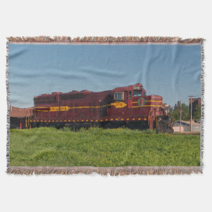 Couverture Duluth Mesabi Plage de fer Eng 316 jeton couvertur