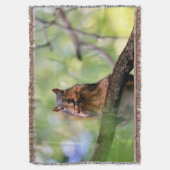 Couverture Écureuil harmonique (devant Vertical)