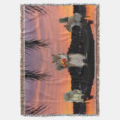 Couverture Écureuils mignons au coucher du soleil (devant Vertical)