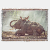 Couverture Eléphant (Devant)