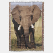 Couverture Éléphant de savane d'Afrique (devant Vertical)