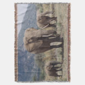 Couverture Éléphant mère marchant avec un éléphant jeune (devant Vertical)