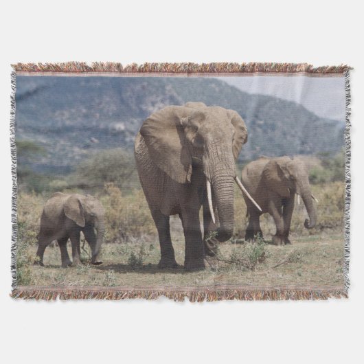 Couverture Éléphant mère marchant avec un éléphant jeune (Devant)