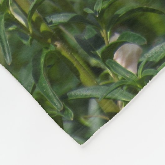 Couverture en fleur de serpent (Coin)