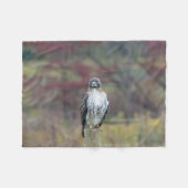 Couverture en fusées Hawk (Devant (Horizontal))