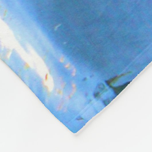 Couverture en Tiger Fleece (Coin)