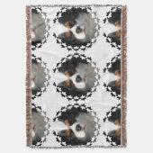 Couverture Épagneul cavalier du Roi Charles (devant Vertical)