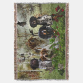 Couverture Épagneuls bretons,   chasse aux oiseaux    (devant Vertical)