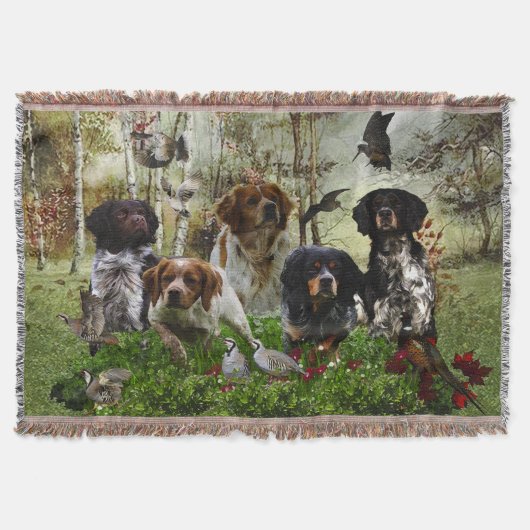 Couverture Épagneuls bretons,   chasse aux oiseaux    (Devant)