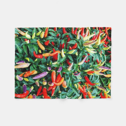 Couverture épicée (Devant (Horizontal))