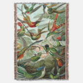 Couverture Ernst Haeckel Art Imprimer : Trochilidae (devant Vertical)