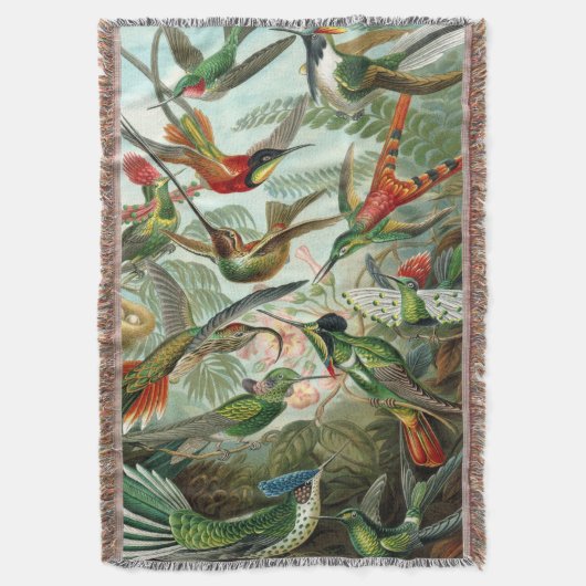 Couverture Ernst Haeckel Art Imprimer : Trochilidae (devant Vertical)