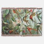 Couverture Ernst Haeckel Art Imprimer : Trochilidae (Devant)