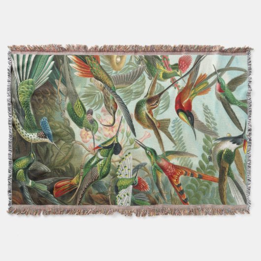 Couverture Ernst Haeckel Art Imprimer : Trochilidae (Devant)