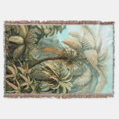 Couverture Ernst Haeckel's Filicinae (Fermes d'arbre) Jeter B (Devant)