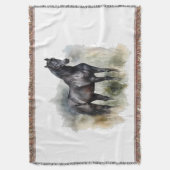 Couverture Esprit de l'étalon sauvage (devant Vertical)