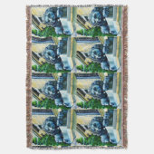 Couverture Estemate Feline, Washington DC, États-Unis (devant Vertical)