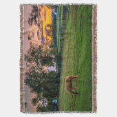 Couverture États-Unis, Lexington, Kentucky. Cheval solitaire  (devant Vertical)